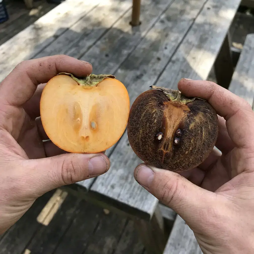 Порівняння розрізів